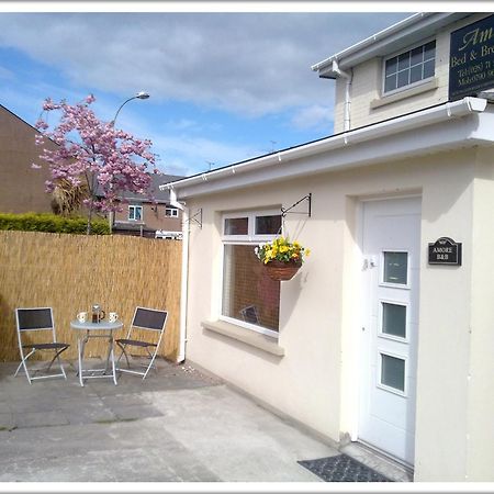 Amore Bed & Breakfast Londonderry Zewnętrze zdjęcie